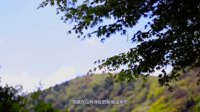 救援受困的火鸡
