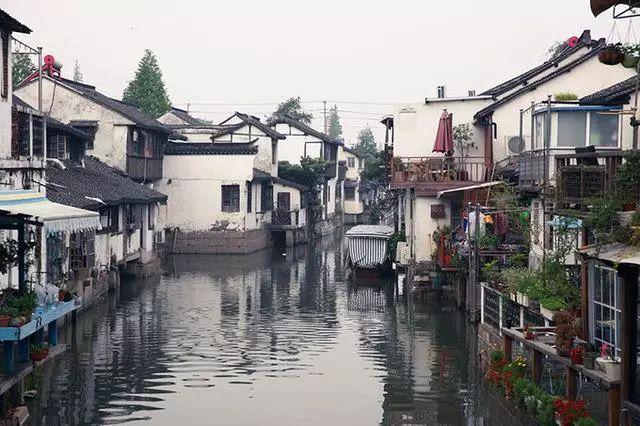 僵尸辨色球