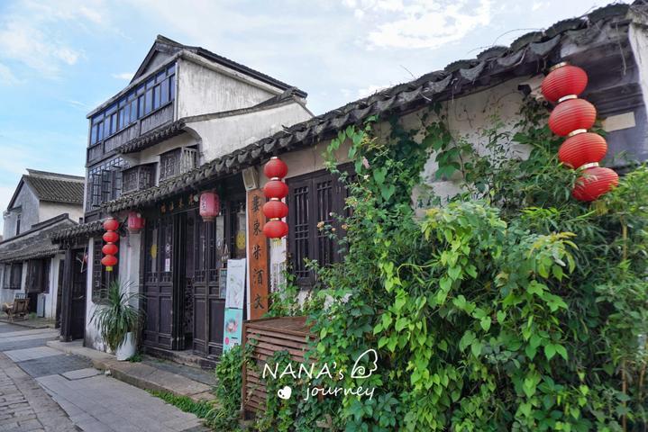 逃出小象森林
